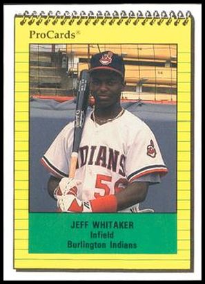 3311 Jeff Whitaker